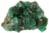 Fluorite and Galena Crystal Association - Rogerley Mine #97885-2